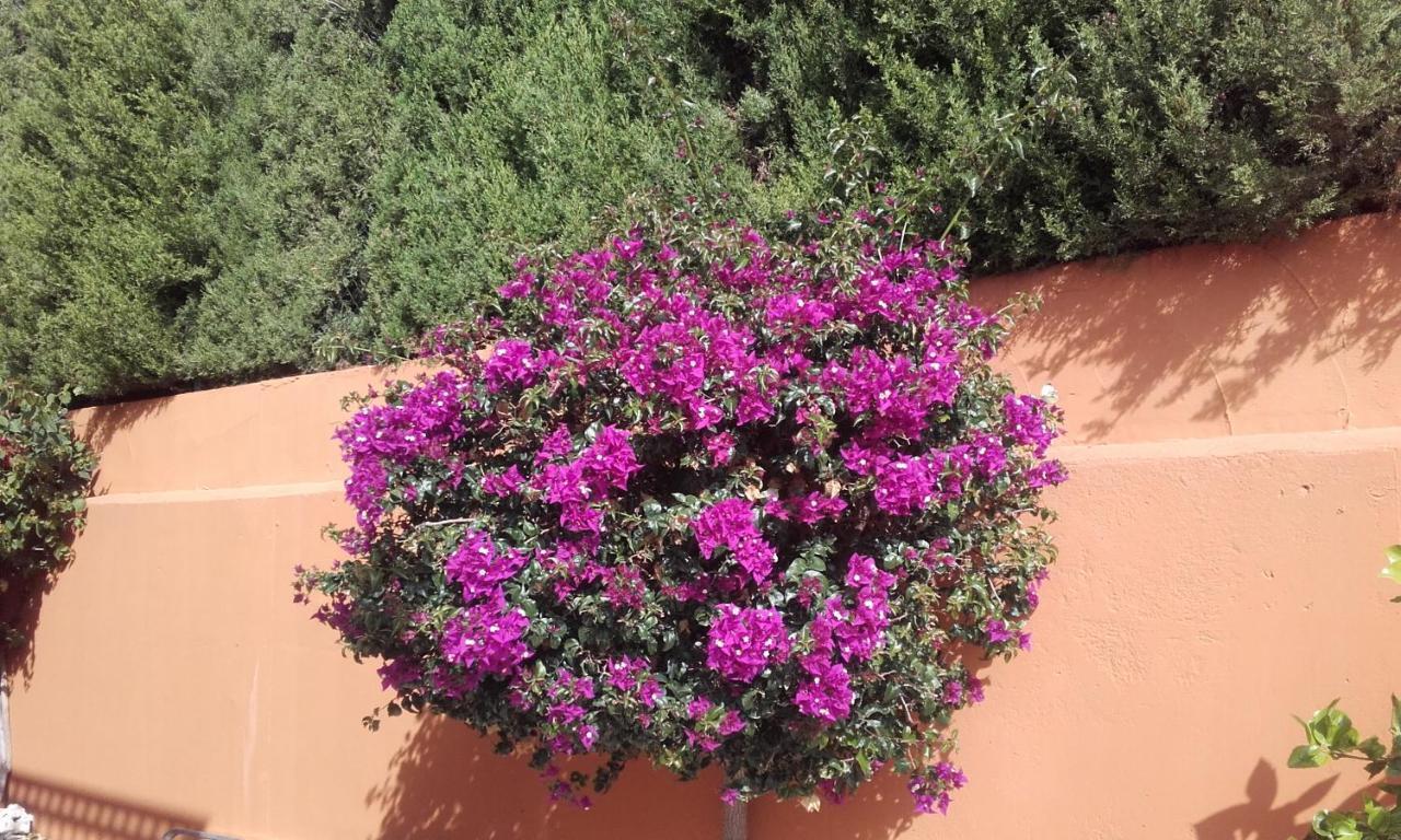 Hacienda El Retamar Villa Benalmádena Exteriör bild